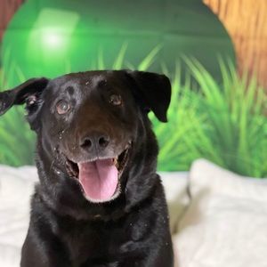 Meet your Posher, Terry